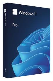 Win Pro 11 64Bit Spanish Latam 1pk DSP OEI